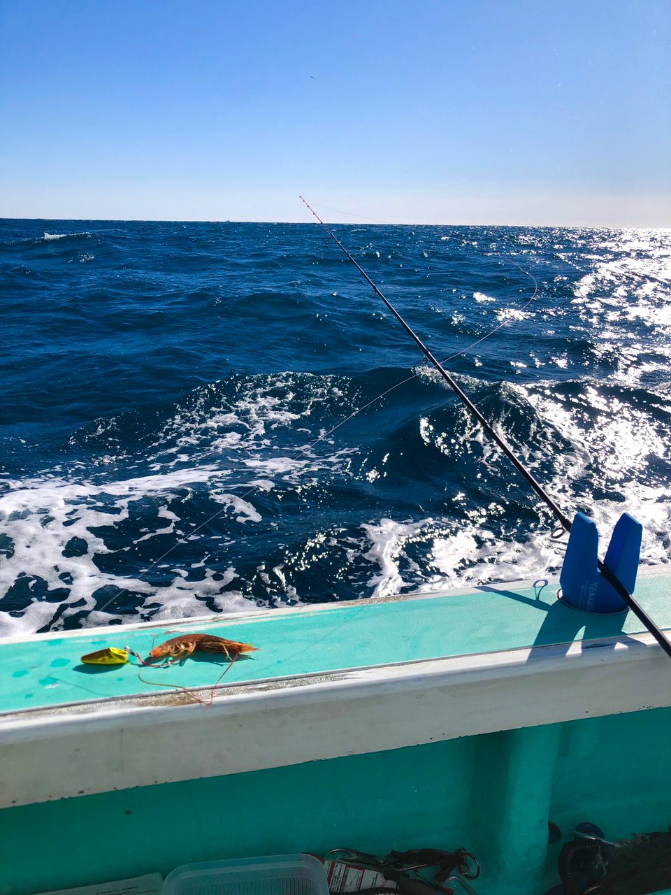 1/144さんの釣果 2枚目の画像