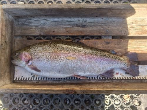 すそのフィッシングパーク