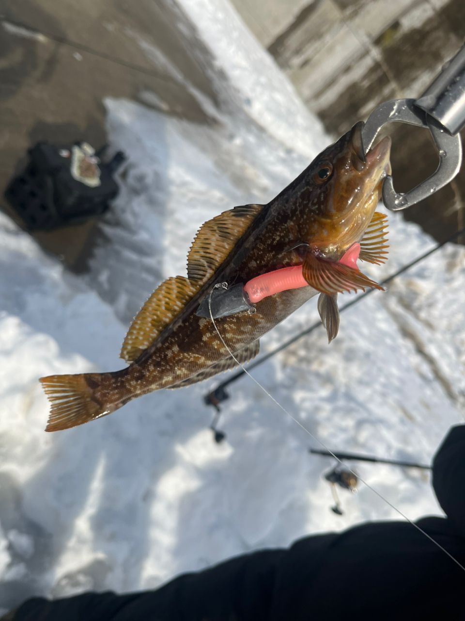 SHIMANO 23ディアルーナ S90Lの最安値・インプレ・釣果 | 本音の口コミ