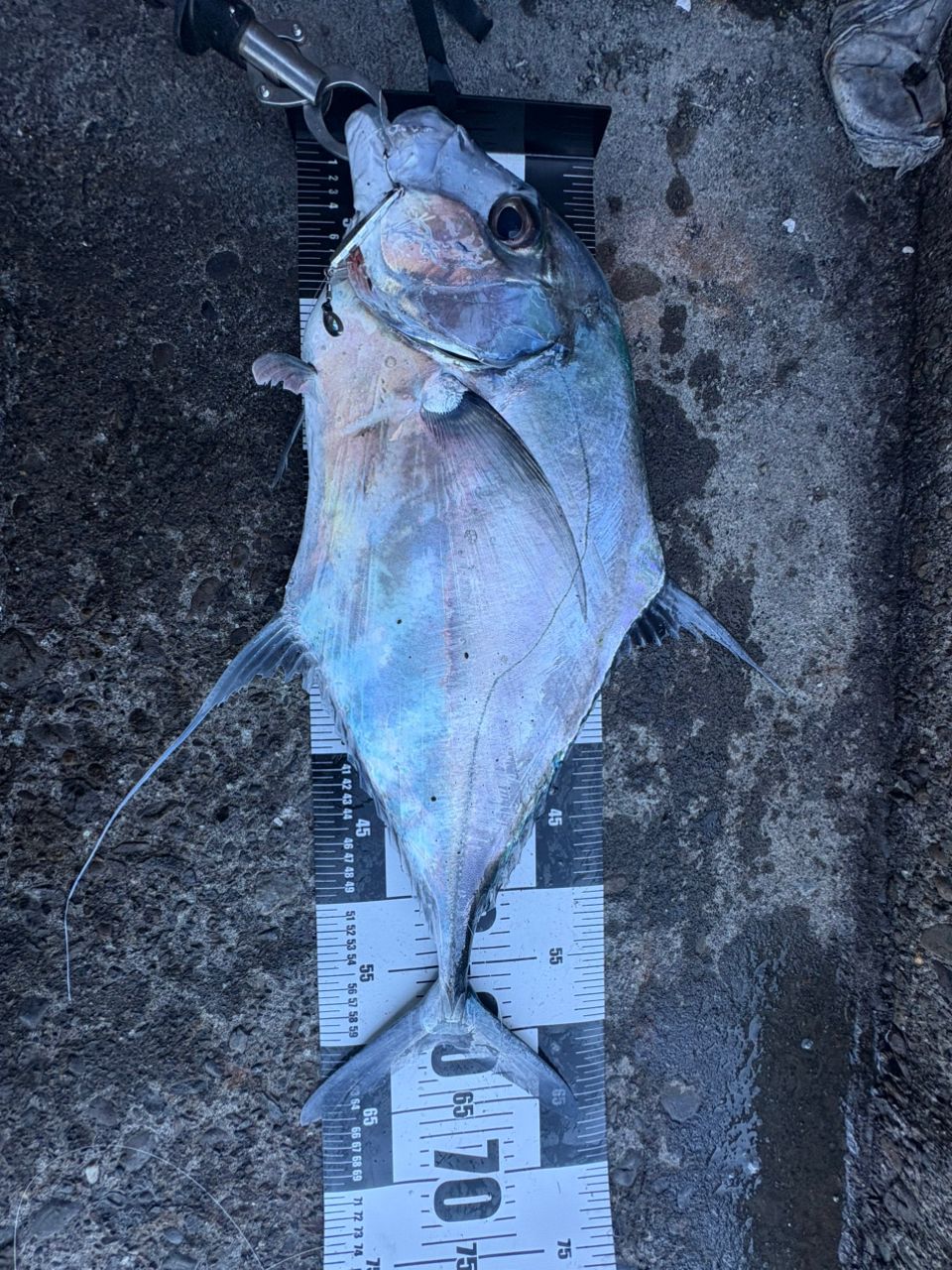 シマノ 23ディアルーナ B86ML シマノ(SHIMANO) 23 ディアルーナ B86ML