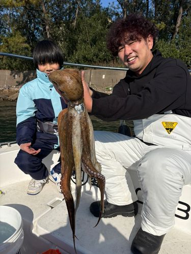 タコの釣果