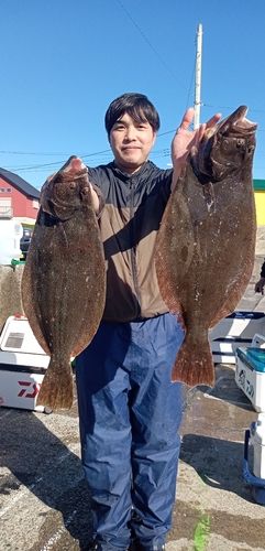 ヒラメの釣果