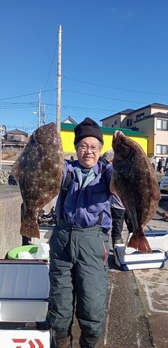 ヒラメの釣果