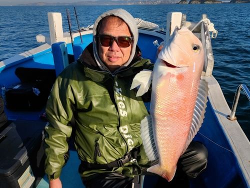アマダイの釣果