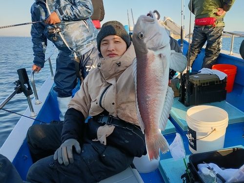 アマダイの釣果