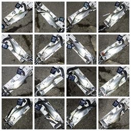 セイゴ（ヒラスズキ）