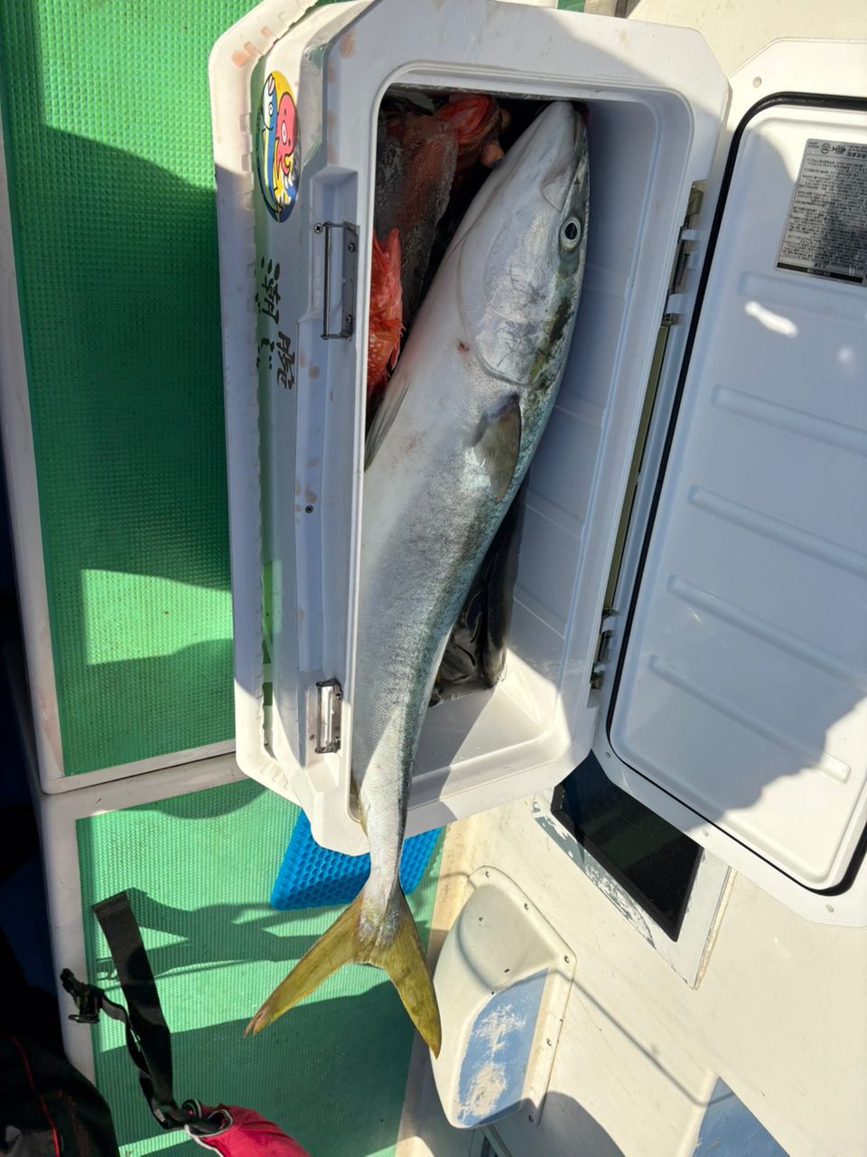 バター食パンさんの釣果 2枚目の画像