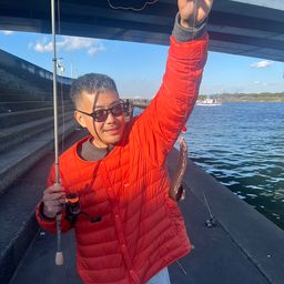 ダイナンギンポ