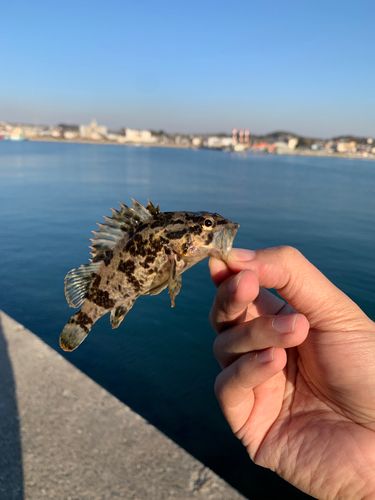 セントレア常滑港前島
