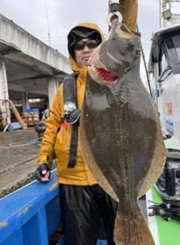 ヒラメの釣果