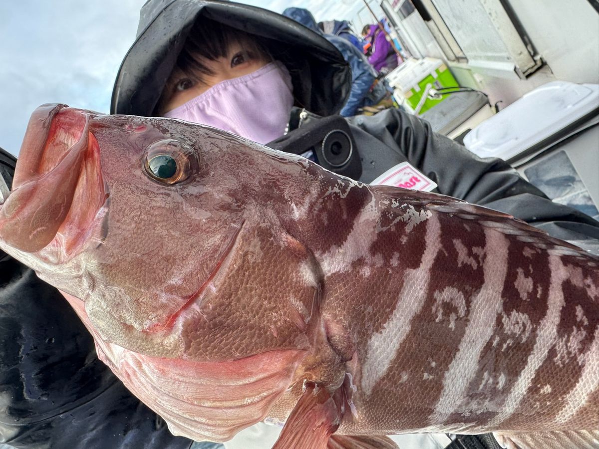 あや🐟さんの釣果 1枚目の画像