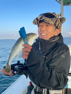 ショウサイフグの釣果