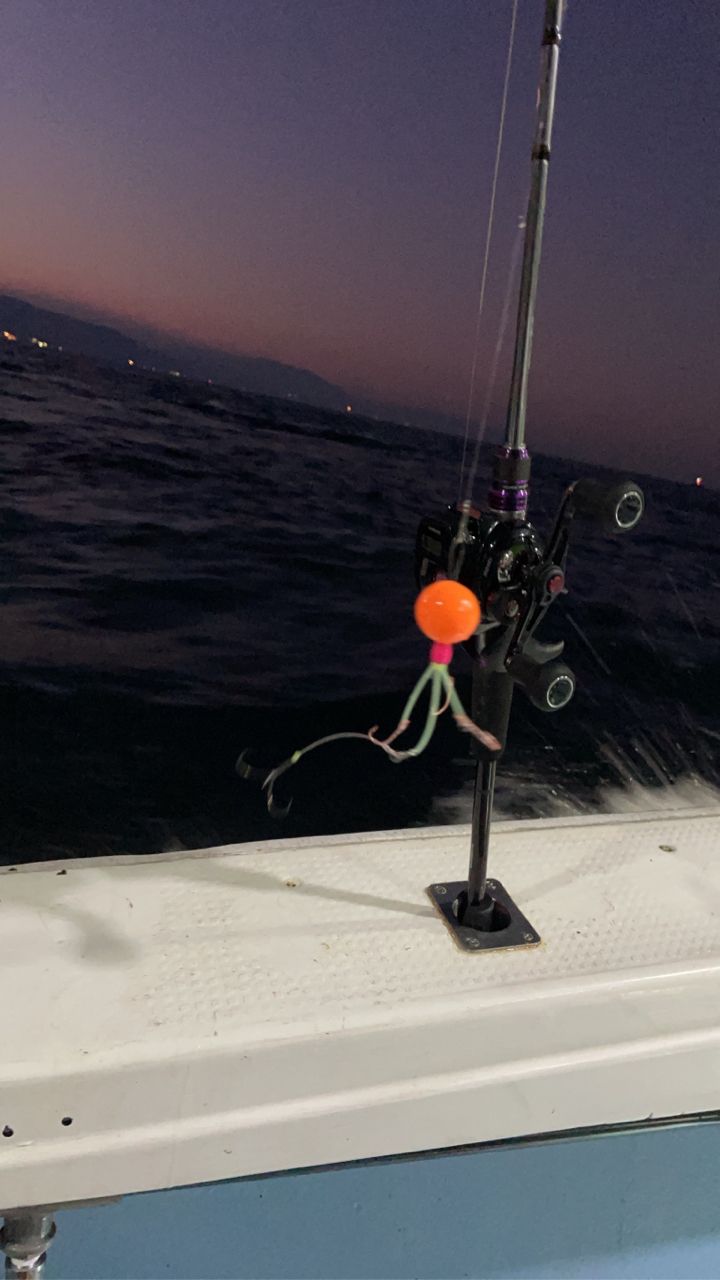 ハラミんさんの釣果 3枚目の画像