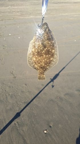 滝浜エメラルドビーチ