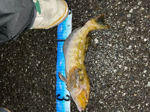 大浜漁港（宮戸島）