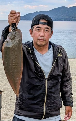シタビラメの釣果