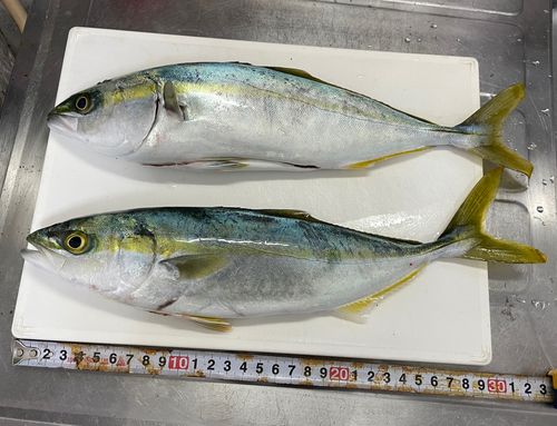 網代浜海水浴場