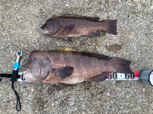 神戸空港親水護岸