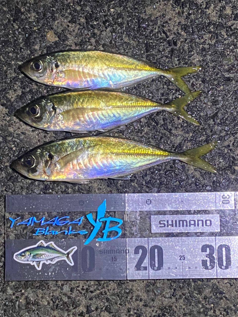 ▪️超美品▪️YAMAGA Blanks▪️ブルーカレント▪️85TZ/NANO ALL Yamaga Blanks Blue Current 85 TZ Nano All Range ヤマガブランクス