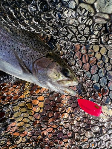 リヴァスポット早戸