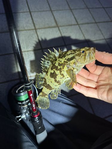 ベイサイドビーチ坂