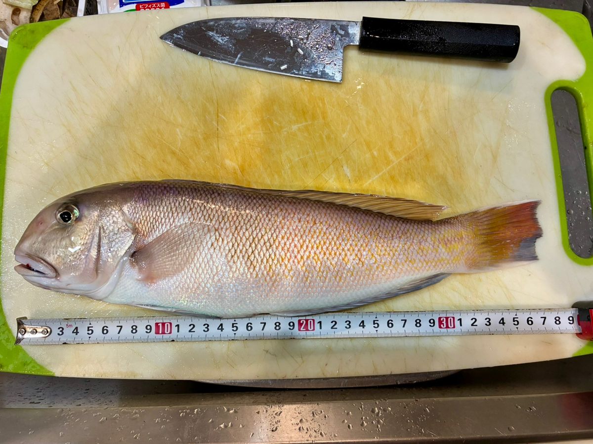 わじゅけんさんの釣果 2枚目の画像