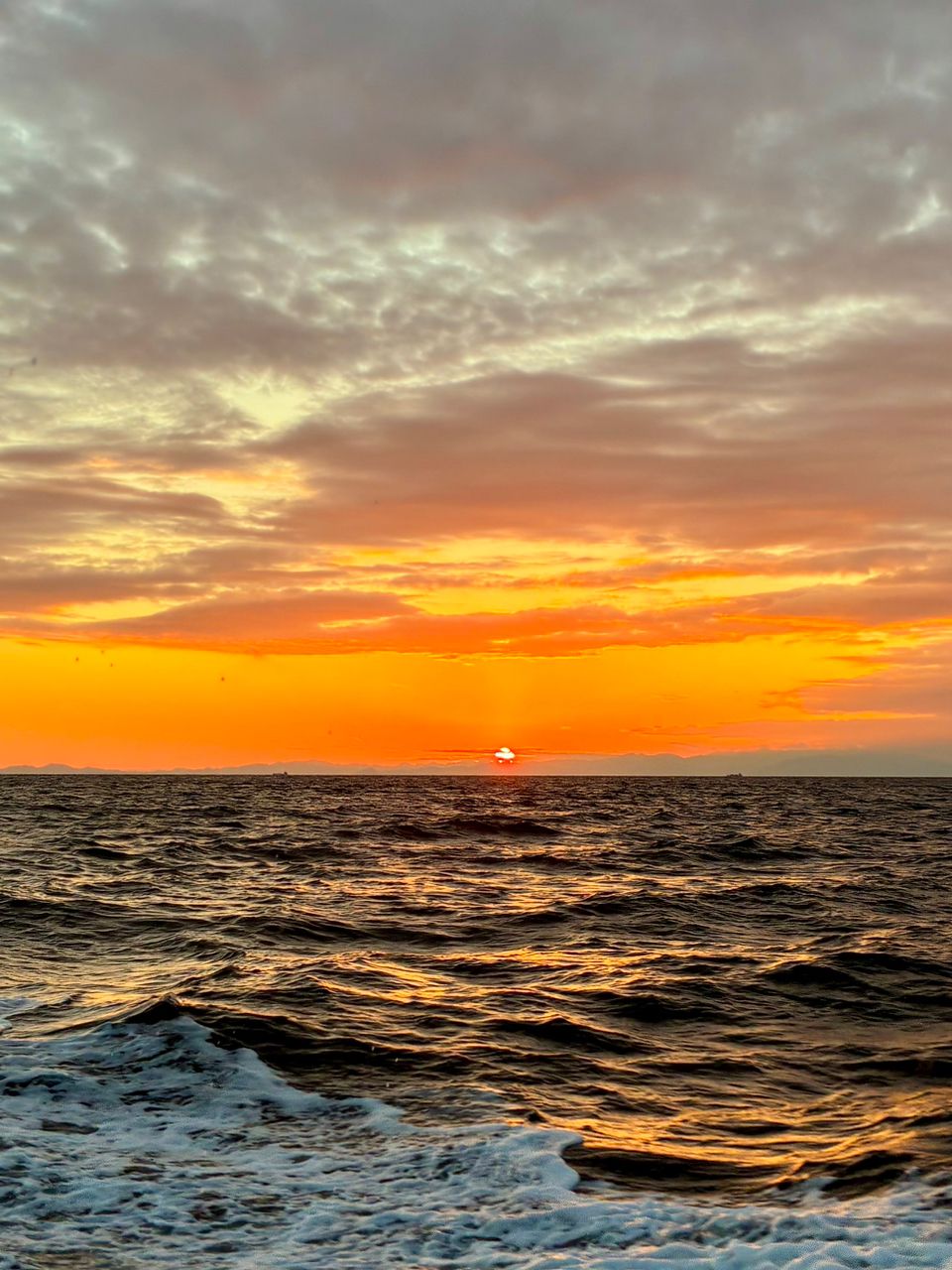 わじゅけんさんの釣果 3枚目の画像
