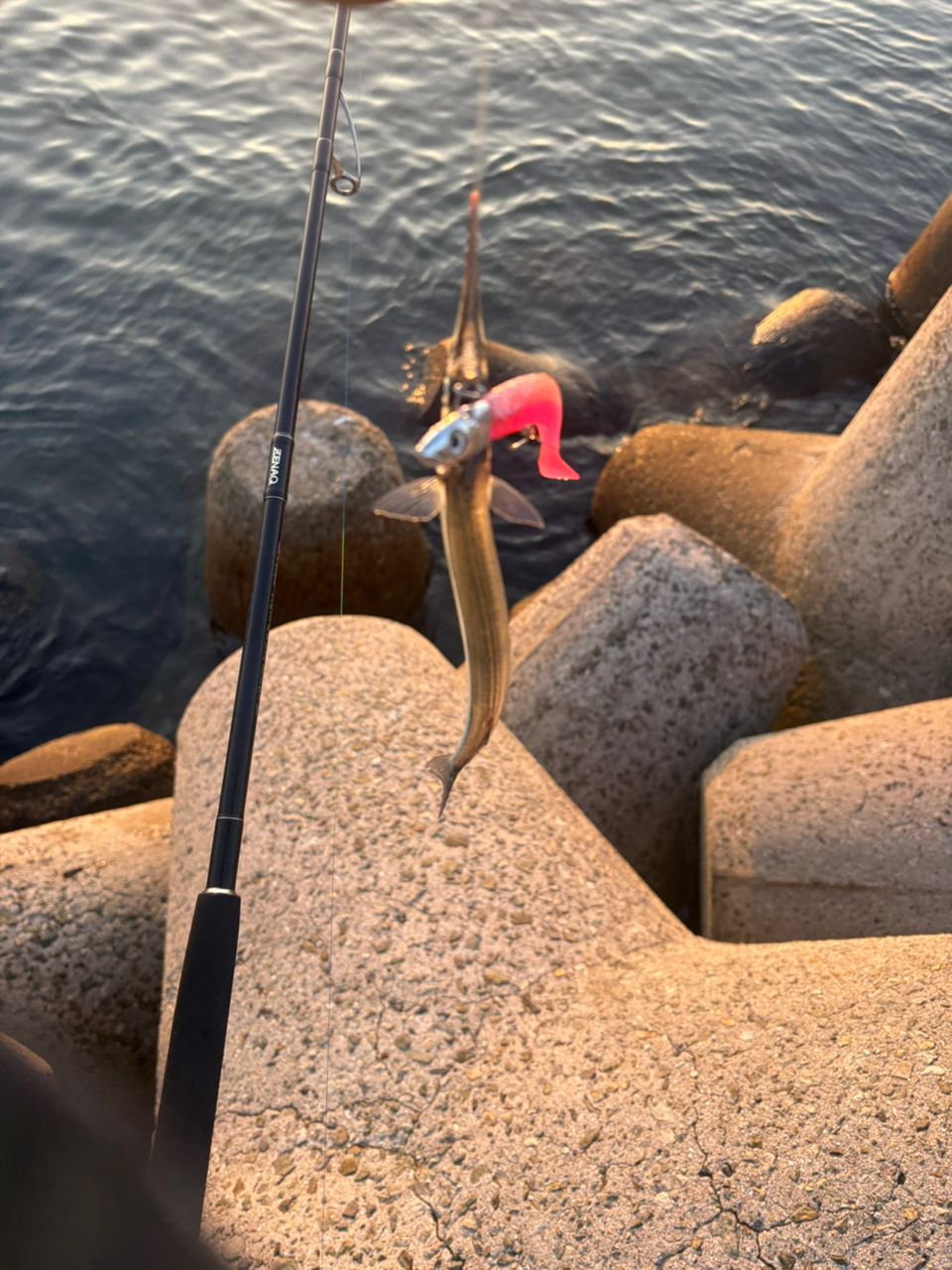 DAIWA 21モアザン ブランジーノ EX AGS 97ML/Mの最安値・インプレ