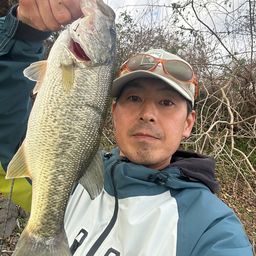 ラージマウスバス