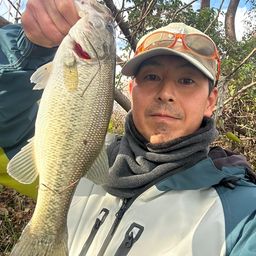 ラージマウスバス