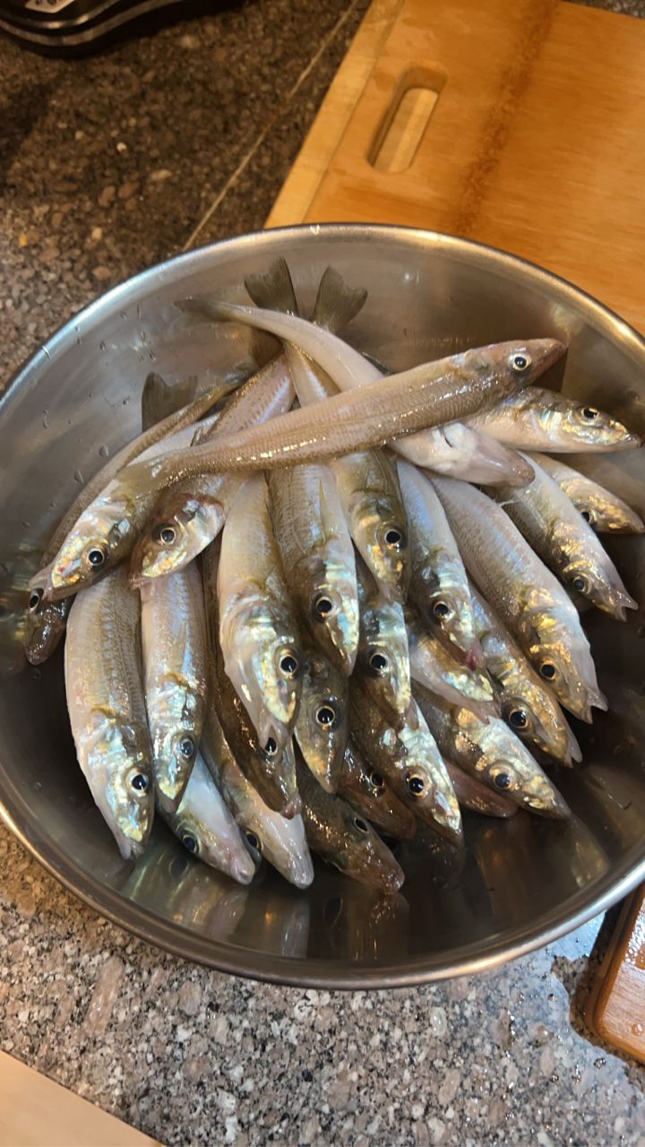 ひでそのさんの釣果 2枚目の画像