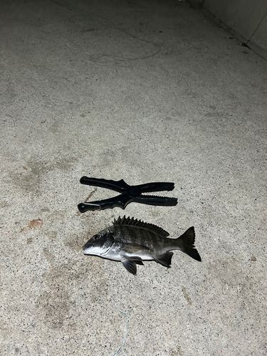 金沢水際線緑地（福浦岸壁）