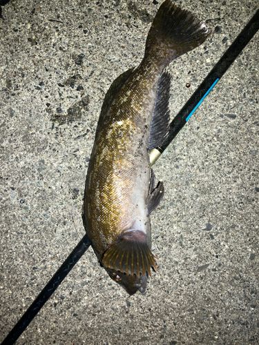 小名浜港アクアマリンふくしま周辺