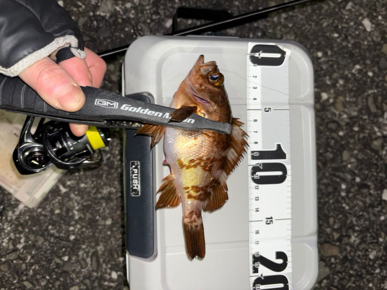 AbuGarcia ソルティーステージ プロトタイプ アジング XAJS-5102LSSの