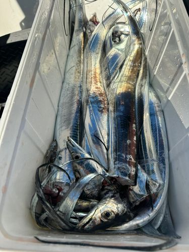 三陸海岸（宮城）