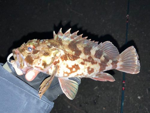 東京湾（アクアライン〜富津）