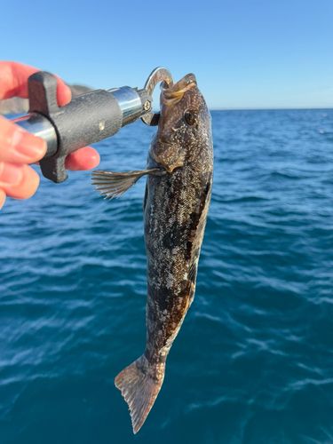 三陸海岸（岩手）