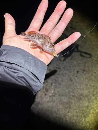 忠岡木材コンビナート