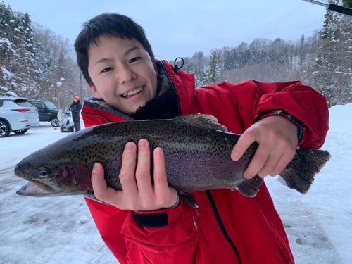トラウトの釣果