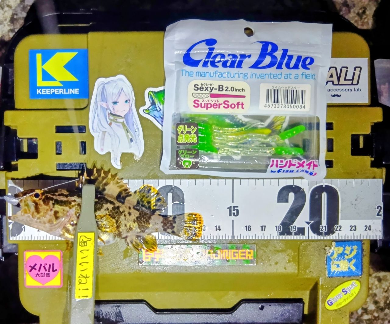 タケノコメバル