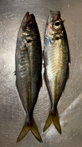 小名浜港アクアマリンふくしま周辺