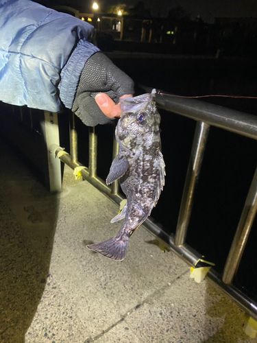 白子漁港（三重）