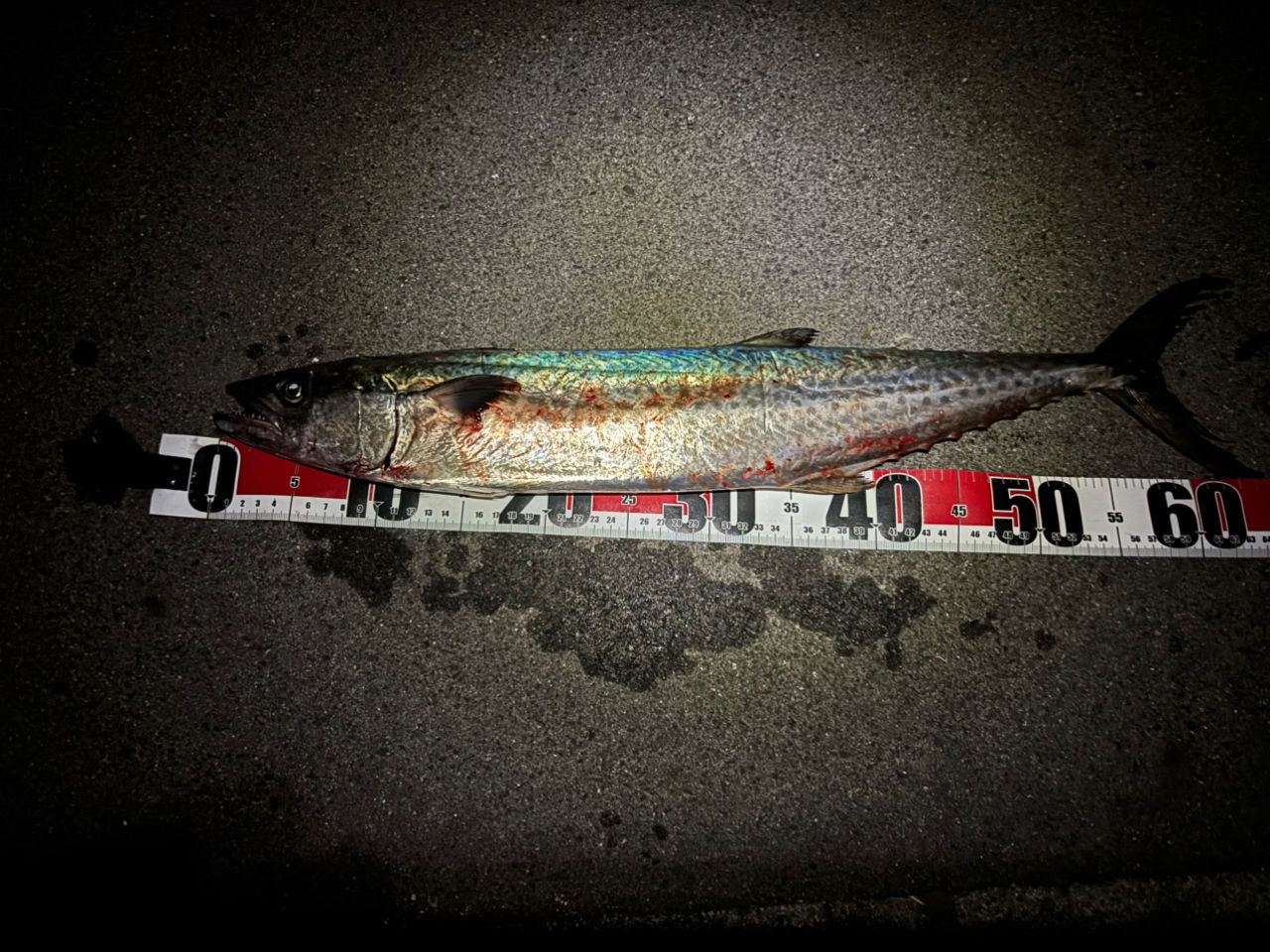 YAMAGA Blanks アーリー・フォーサーフ 99MLの最安値・インプレ・釣果