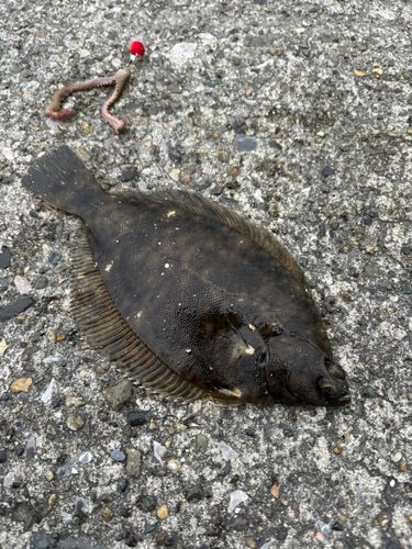 千葉港中央埠頭