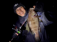 オオモンハタの釣果