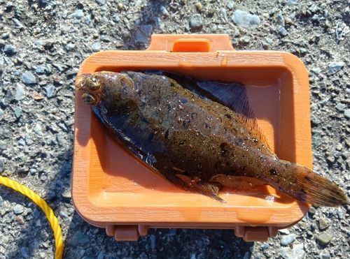 うみかぜ公園付近