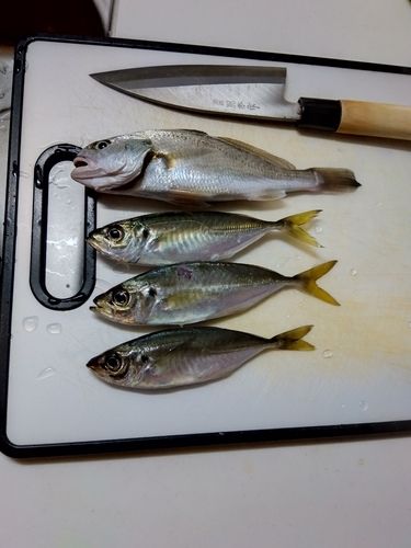 本牧海づり施設