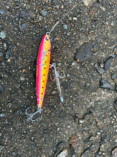 塩屋海岸（石川）