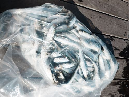 小名浜港アクアマリンふくしま周辺