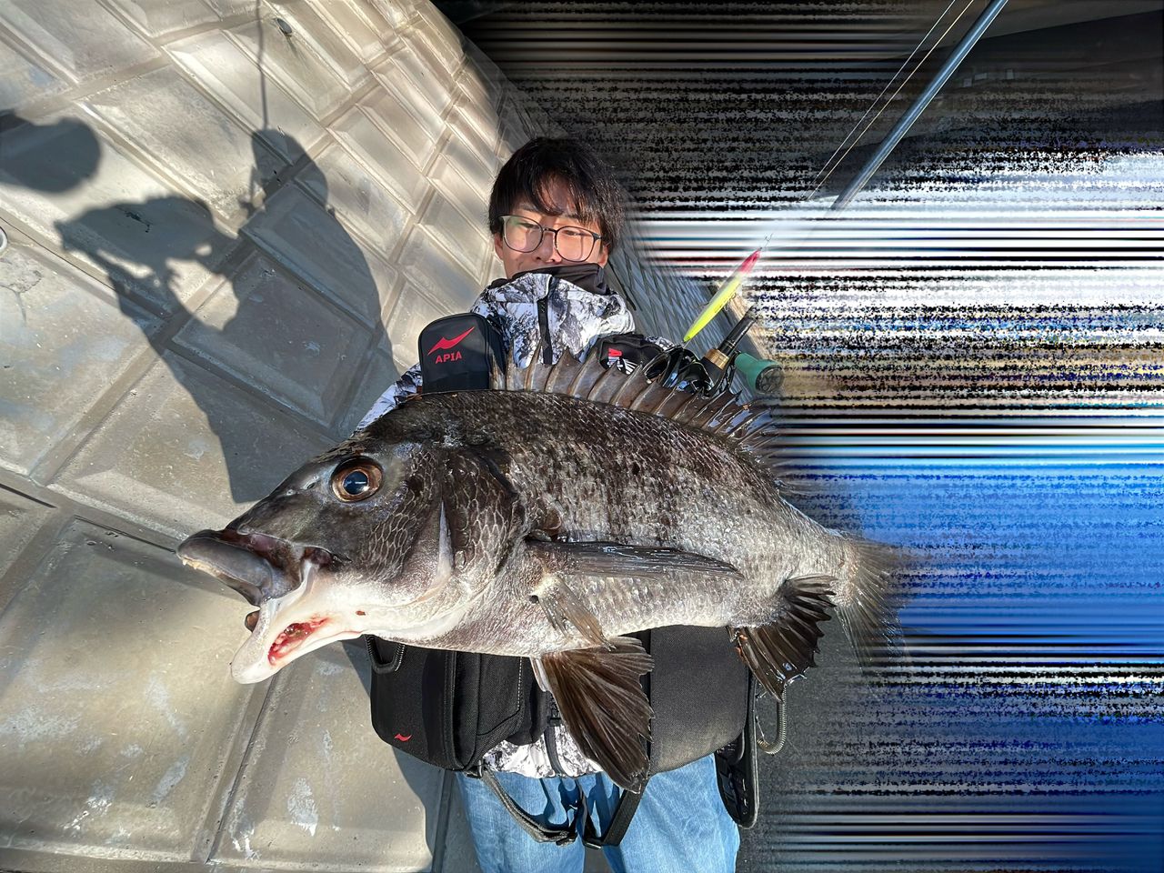 DAIWA 18ラテオ ボートシーバス 73HBの最安値・インプレ・釣果 | 本音